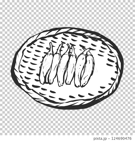 シシトウの手描き筆絵風イラスト シシトウの手描き筆絵風イラスト 124690476
