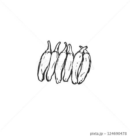 シシトウの手描き筆絵風イラスト 124690478