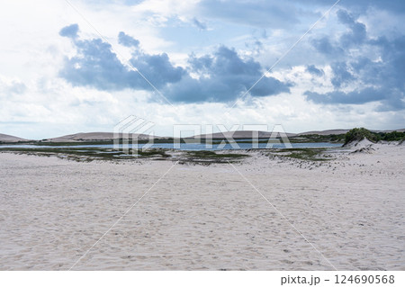 Buggy tour to the Amancio lagoon at Jericoacoara, Brazil. Dunes of Ceara 124690568