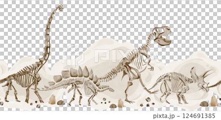 Seamless border with dinosaur skeletons and pebbles. Light background. Theranosaurus, traceratops and stegosaurus go one after another. Watercolor illustration. Hand drawn. High quality illustration Seamless border with dinosaur skeletons and pebbles. Light background. Theranosaurus, traceratops and stegosaurus go one after another. Watercolor illustration. Hand drawn. High quality illustration 124691385