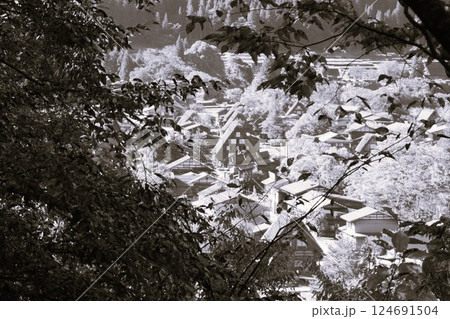 萩町合掌造り集落 白川郷 茅葺 荻町城跡 展望台 展望台遊歩道 萩町合掌造り集落 白川郷 茅葺 荻町城跡 展望台 展望台遊歩道 124691504