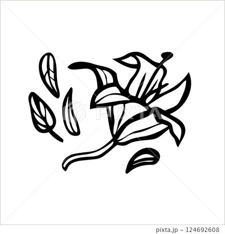 Vector doodle hand drawn lily with leaves. Vector doodle hand drawn lily with leaves. 124692608