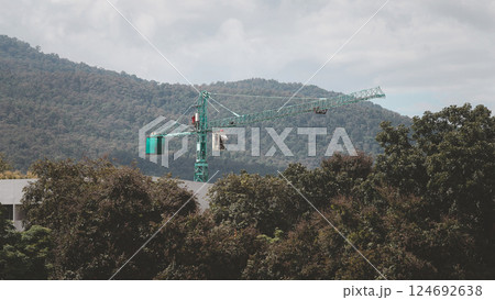 Construction crane and building among the trees. Forest encroachment city concept. 124692638