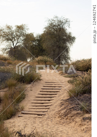 Deserted trail with the wooden stairs in a park, sandy road for walks. Daytime photo, summer 124692741