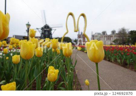 黄色いチューリップ畑 124692870