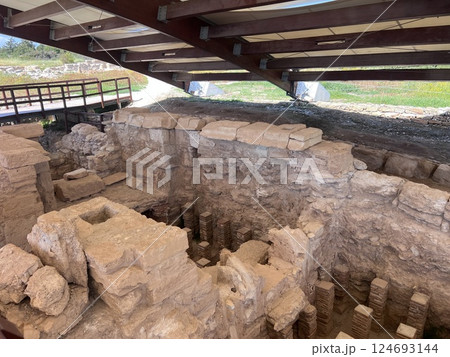 Ruins of the Sanctuary of Apollo Hylates near Limassol, Cyprus 124693144