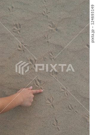 A close up of a child finger pointing out a fresh footprint track in the sand left by a bird. Educational, exploring concept A close up of a child finger pointing out a fresh footprint track in the sand left by a bird. Educational, exploring concept 124693149