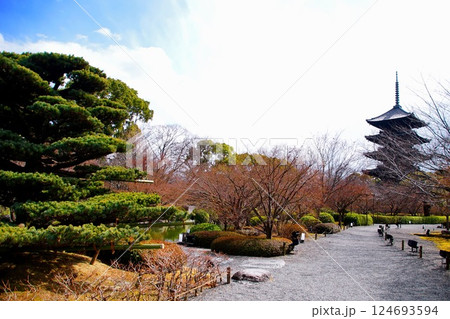 京都府 東寺・庭園 五重塔 京都市 南区 九条町 2022年2月 京都府 東寺・庭園 五重塔 京都市 南区 九条町 2022年2月 124693594
