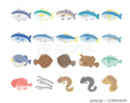 魚  種類  イラストセット 124693640