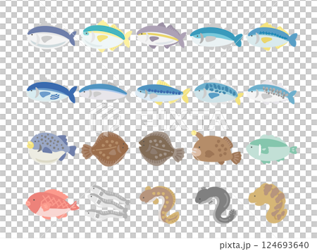魚  種類  イラストセット 124693640
