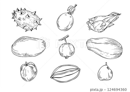 American, Asian exotic fruits vector isolated illustration clip art painted by black inks. Horned melon, mango, papaya, dragon fruit, carambola or starfruit, guava, and passion fruit set sketch. 124694360