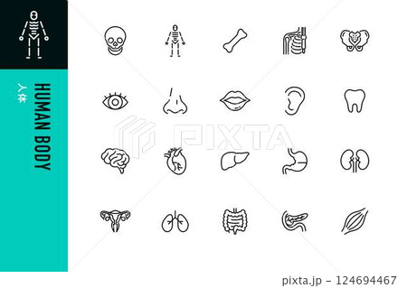 人体のラインアイコンセット 124694467