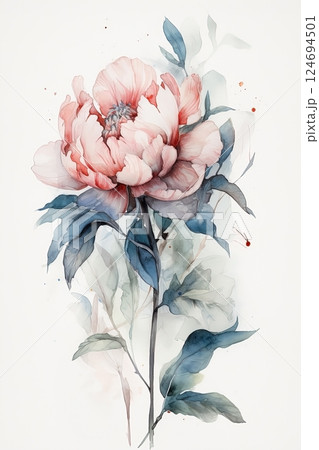 Watercolor peony on white background 124694501