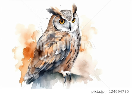 Watercolor owl illustration on white background 124694750