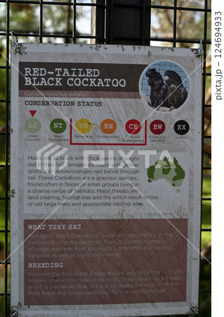 動物 動物学 豪州 124694933