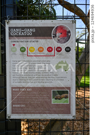 動物 動物学 豪州 124694936