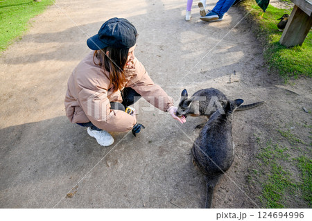 動物 動物学 豪州 124694996