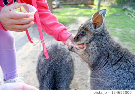 動物 動物学 豪州 124695000