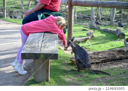 動物 動物学 豪州 124695005