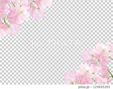 Spring fresh flower frame background material pale pink beautiful sweet pea background material Spring fresh flower frame background material pale pink beautiful sweet pea background material 124695265