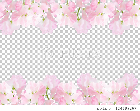 春天鮮花框 可愛的背景材料 淡粉紅色 香豌豆 頂部和底部的線條 124695267