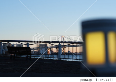 レインボーブリッジを望む夕景 124695311