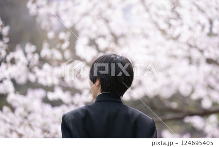 桜を眺める男子生徒 新入学と新学期のイメージ 124695405