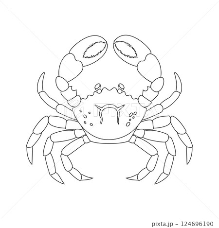 A detailed black and white drawing of a crab on a white background 124696190