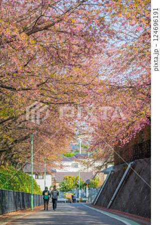 埼玉県・川口市・密蔵院・安行桜 124696191