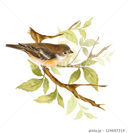 Cute little bird sit on branch with green leaves. Hand drawn illustration. Cute little bird sit on branch with green leaves. Hand drawn illustration. 124697314