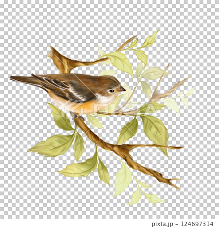 Cute little bird sit on branch with green leaves. Hand drawn illustration. Cute little bird sit on branch with green leaves. Hand drawn illustration. 124697314
