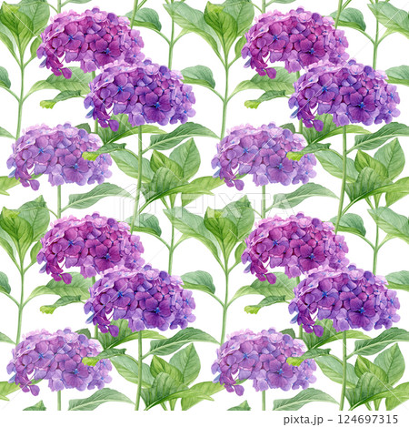 Hydrangea flowers pattern. Watercolor of pink purple flowers and leaves isolated on a white background. Good for postcards, invitations, greeting cards, wallpaper, textiles. Hydrangea flowers pattern. Watercolor of pink purple flowers and leaves isolated on a white background. Good for postcards, invitations, greeting cards, wallpaper, textiles. 124697315