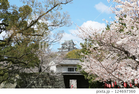 桜満開の和歌山城 岡口門方面から撮影 和歌山市 桜満開の和歌山城 岡口門方面から撮影 和歌山市 124697360
