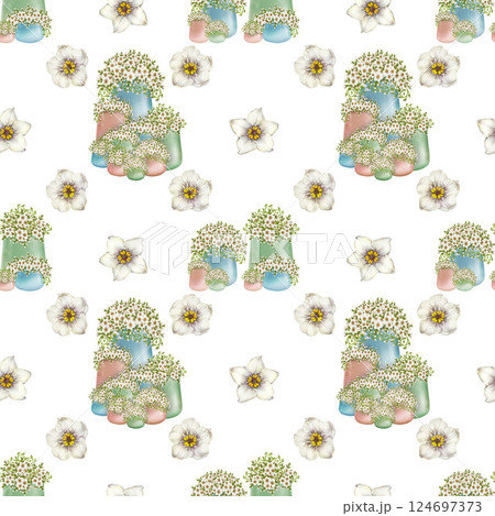 Seamless pattern of white flowers primroses in blue, green, beige ceramic pots. Watercolor illustration isolated on white. Floral pattern of foget-me-not in pots botanical style for spring design 124697373