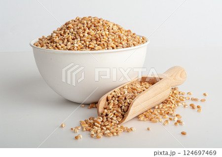 Wheat Grains, Barley Pile, Dry Cereal Seeds, Wheat Grains Heap on White Wheat Grains, Barley Pile, Dry Cereal Seeds, Wheat Grains Heap on White 124697469