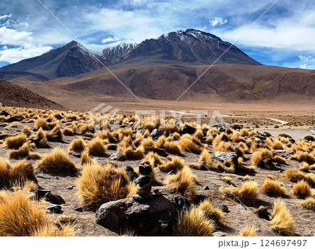 Bolivia Highlands, Altiplano plateau. Volcano Canapa in Andes, Bolivia Highlands, Altiplano plateau. Volcano Canapa in Andes, 124697497