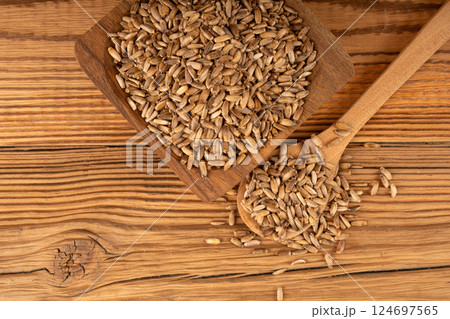 Milk thistle seeds, silybum marianum grains, dry blessed milkthistle fruits, variegated thistle kernels Milk thistle seeds, silybum marianum grains, dry blessed milkthistle fruits, variegated thistle kernels 124697565
