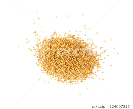 Mustard seeds isolated, dry yellow sinapis alba grains, mostarde balls on white background 124697817