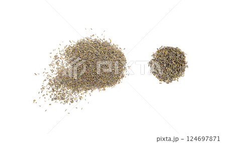 Dry lavender flowers isolated, scattered lavandula perfume buds, petals, fragrance lilac blossoms, herbs Dry lavender flowers isolated, scattered lavandula perfume buds, petals, fragrance lilac blossoms, herbs 124697871