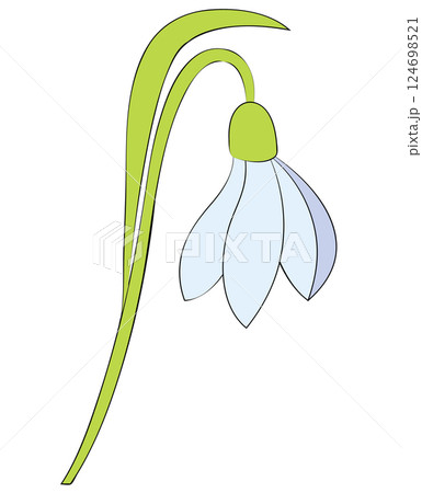 Snowdrop flower close-up in flat style. Vector illustration isolated on white background. 124698521