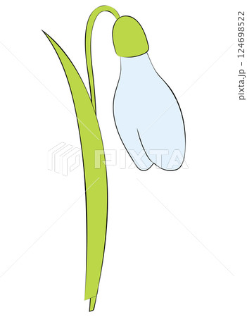 Snowdrop flower close-up in flat style. Vector illustration isolated on white background. 124698522