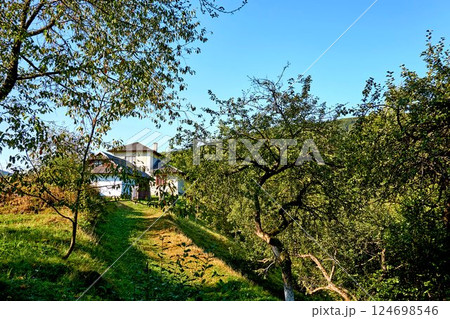 Country rural house cottage among fruit trees Country rural house cottage among fruit trees 124698546