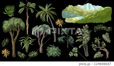 Jungle trees and leaves isolated.  Vector 124698687