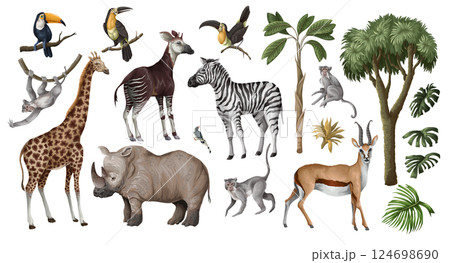 Jungle animals and trees isolated. Palm trees, giraffe, okapi, zebra etc.  Vector. 124698690