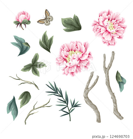 Chinese peonies and butterfly isolated. Vector. 124698703