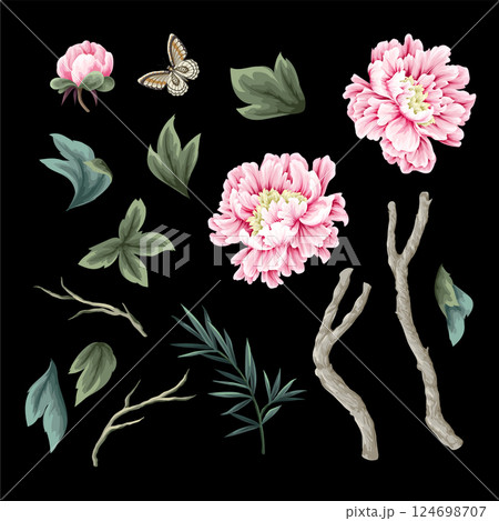 Chinese peonies and butterfly isolated. Vector. 124698707