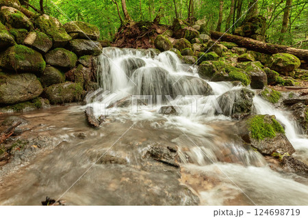 Waterfall in a deep green forest. 124698719