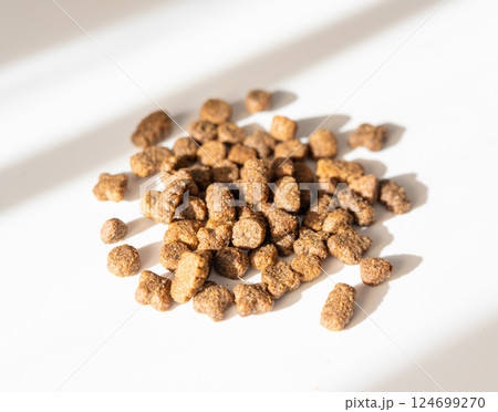 Dry pet food in sunlight, dog kibble pile, scattered puppy pellets, small canine protein croquette Dry pet food in sunlight, dog kibble pile, scattered puppy pellets, small canine protein croquette 124699270