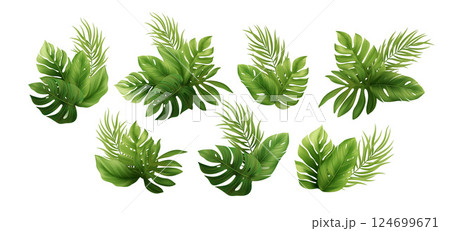 Vector Illustration of Tropical Green Leaves Arrangement on White Background Featuring Exotic Palms and Monstera Leaves for Natural and Summer Themes 124699671