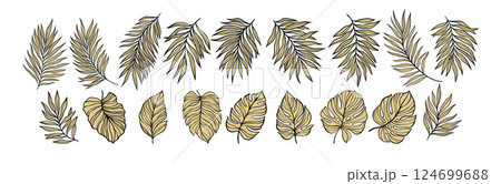 Decorative Illustration of Stylized Tropical and Exotic Leaves in a Linear Arrangement. Vector illustration Decorative Illustration of Stylized Tropical and Exotic Leaves in a Linear Arrangement. Vector illustration 124699688